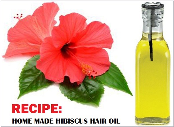 hibiscus-hair-oil-homemade