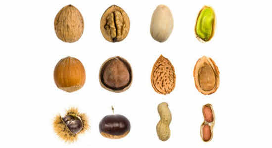 Nuts (Most varieties of nuts)