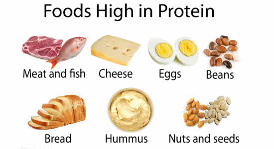 food-high-in-protein