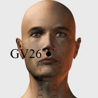 Face Point gv26