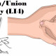 He Gu/Union Valley Acupressure Points for headaches and Migraine