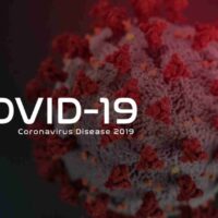 Coronavirus pandemic: All you need to know about COVID-19 Information