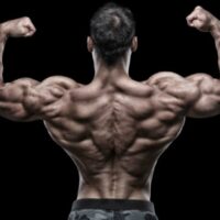 Proviron Cycle - 5 Reason Why Mesterolone is Best Steroids