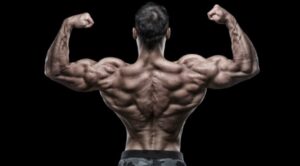 Proviron Cycle - 5 Reason Why Mesterolone is Best Steroids
